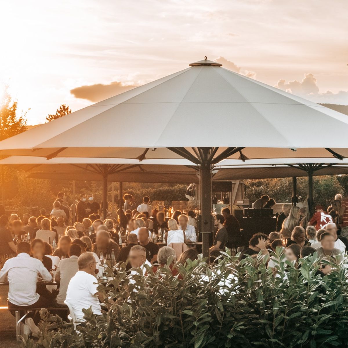 Frimey Großschirm riesiges Schirmdach